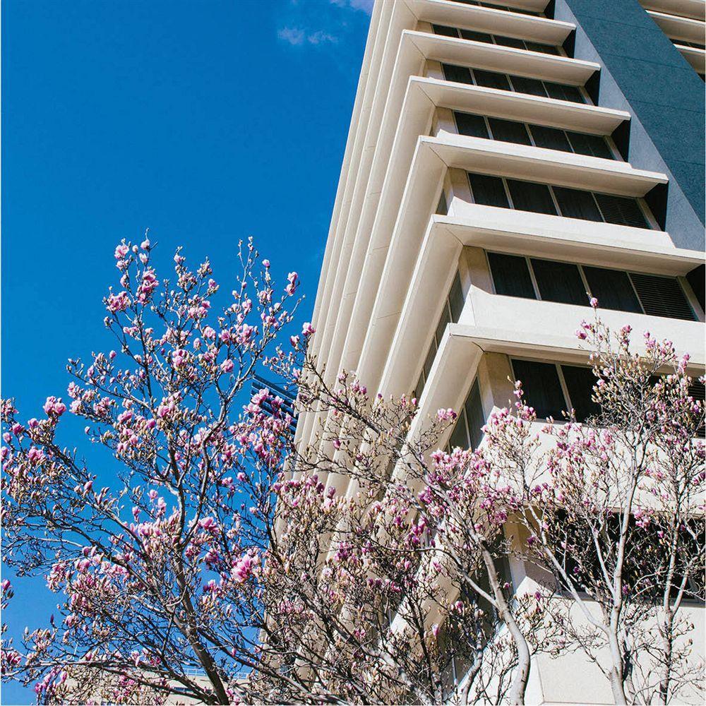 Aparthotel Abode Woden Camberra Exterior foto