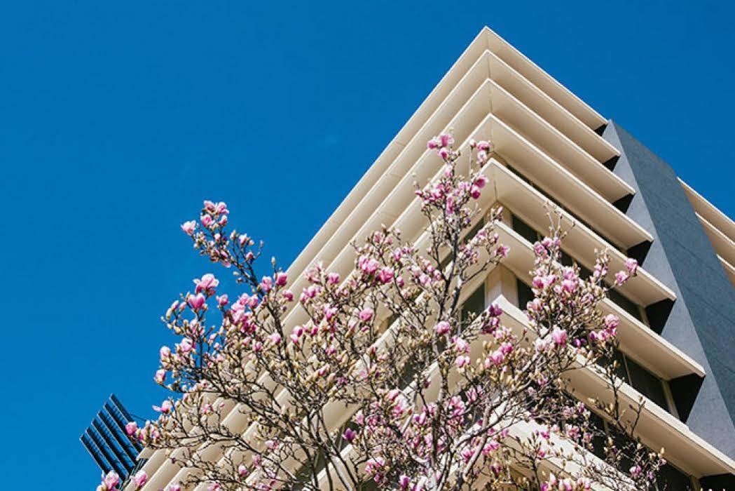 Aparthotel Abode Woden Camberra Exterior foto